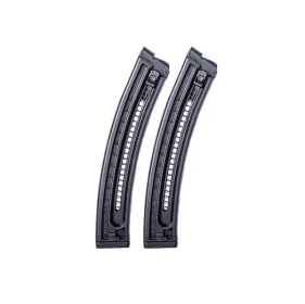 GSG GSG-16 22LR 22RD MAG 2-PK POLY