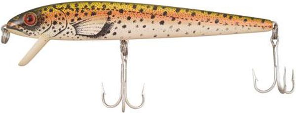 COR RED FIN 1-RAINBOW TROUT