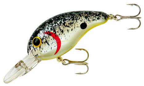 BANDIT DR 1/4 2" SPLATTER BACK