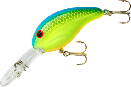 BANDIT DBL DR 1/4 2" CHT BLUE BACK