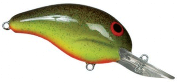 BANDIT MR 1/4 2" CHT ROOTBEER