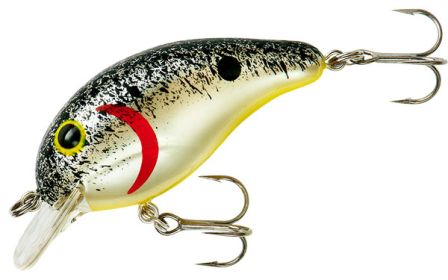 BANDIT MR 1/4 2" SPLATTER BACK