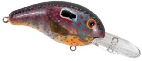 BANDIT MR 2" 1/4 SUN PERCH
