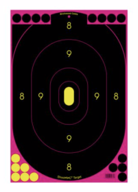 BC SNC 12" X 18" OVAL PINK SIL.