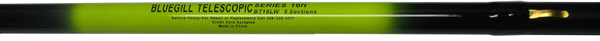 HICKS BLUEGILL 6S-20' TELE POLE
