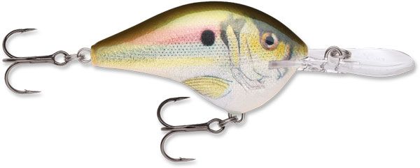 RAPALA DIVES-TO 10 LIVE RIVER SHAD