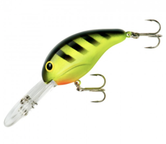 BANDIT DR 3/8 2" CHT/BLK STRIPE