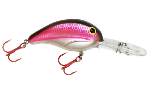 BANDIT DR 3/8 2" GRENADA SHAD