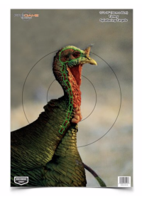 BC PREGAME 12" X 18" TKY TARGET 8PK