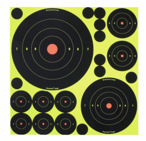 BC SNC BULL'S-EYE TARGETS 5 SHEETS