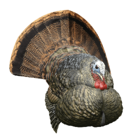 AVIAN X LCD STRUTTER DECOY