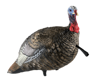 AVIAN X LCD 1/4 STRUT JAKE DECOY