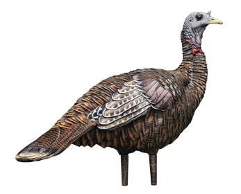 AVIAN X LCD LOOKOUT HEN DECOY