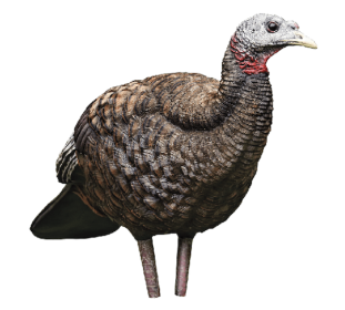 AVIAN X LCD BREEDER HEN DECOY