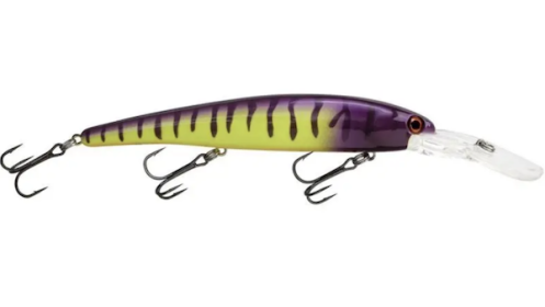 BDT DEEP WALLEYE 5/8 ELEC ZEBRA