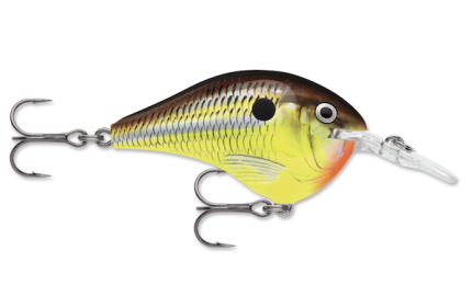 RAPALA DIVES-TO 10 HOT MUSTARD