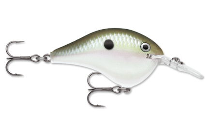 RAPALA DIVE-TO 16 GRN GIZZARD SHAD