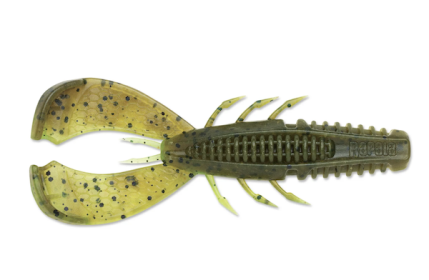 CRUSHCITY CLNP CRAW 3 GRN PUMP CHT