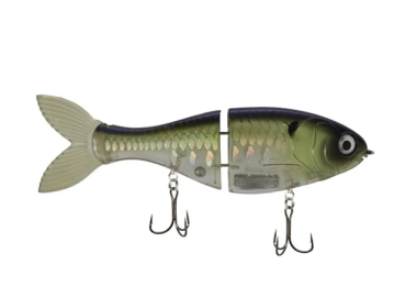 BUCCA TRICK SHAD 6" 1-5/8 PRO HERRG