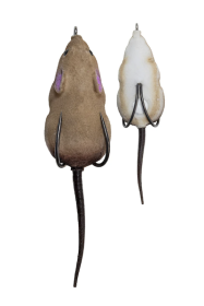 LH FURENZY MOUSE BROWN 2 IN