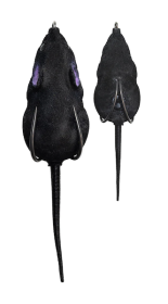 LH FURENZY MOUSE BLACK 2 IN
