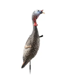 FLEXTONE FUNKY CHICKEN GEN. 2